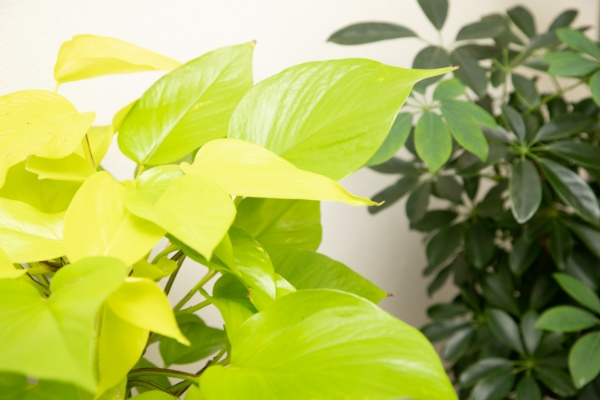 下村パートナーズ税理士法人